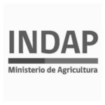 Indap